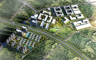 長沙軟件開發 驅動湖南醫藥健康產業供應鏈服務領先化的引擎